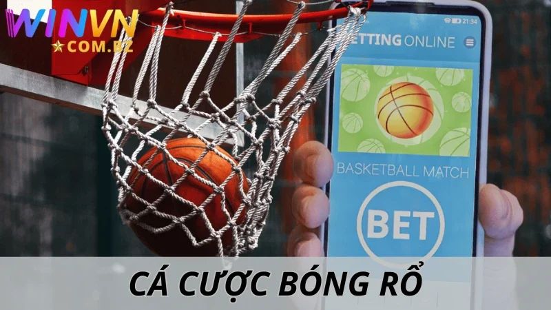 Cá Cược Bóng Rổ - Mẹo Dự Đoán Đặt Kèo Chuẩn Xác Ở Winvn