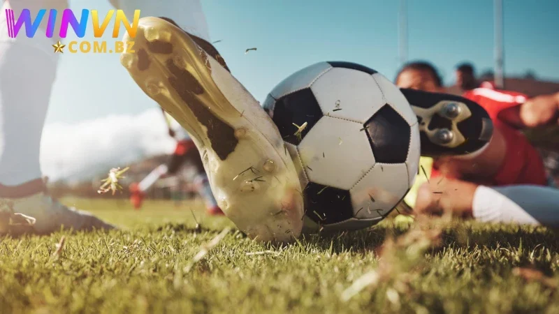 Cùng Winvn khám phá hình thức cược kèo tỷ số được ưa chuộng